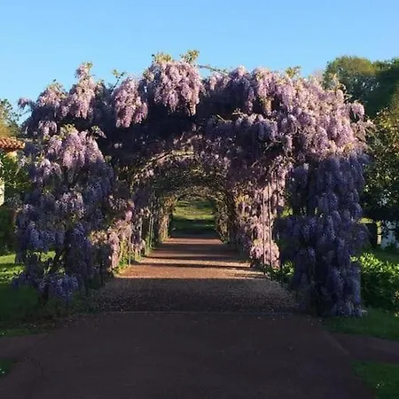 Apartmán Cote Basque Urrugne