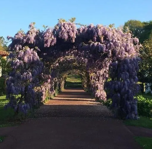 דירה Cote Basque אורונייה